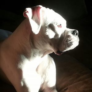 Meet your Posher, Heather